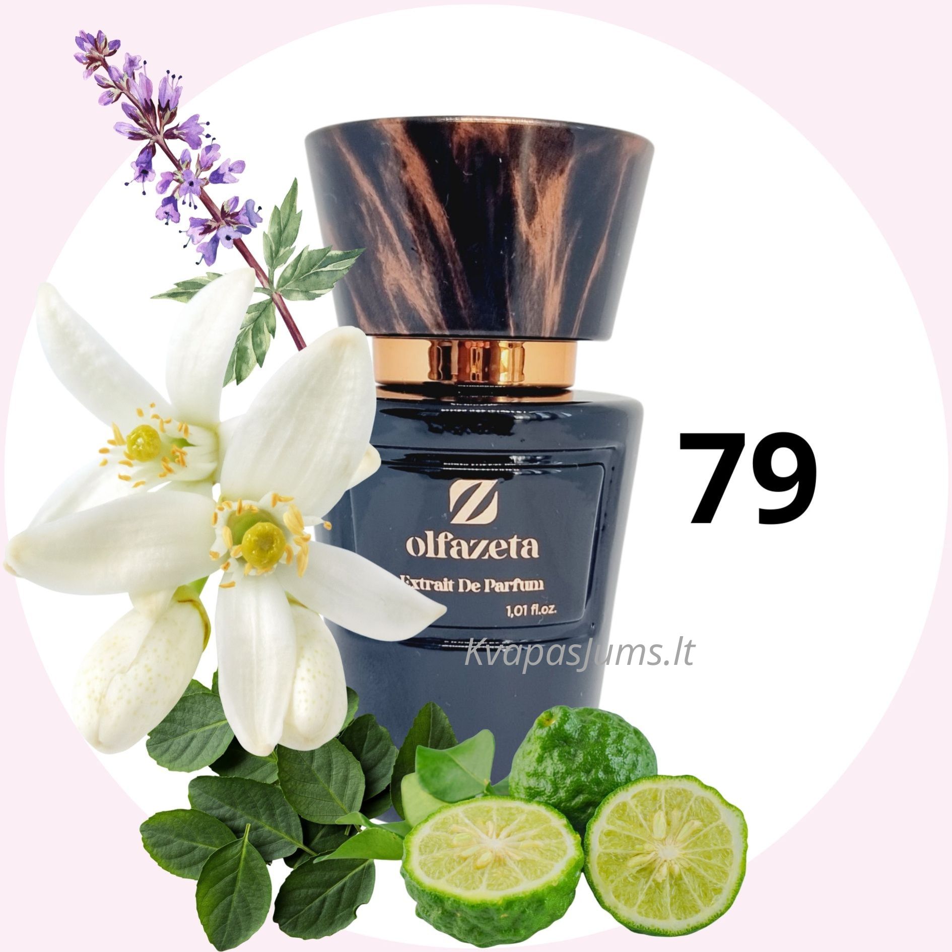 VYRIŠKI KVEPALAI NR.79 - 30 ML.